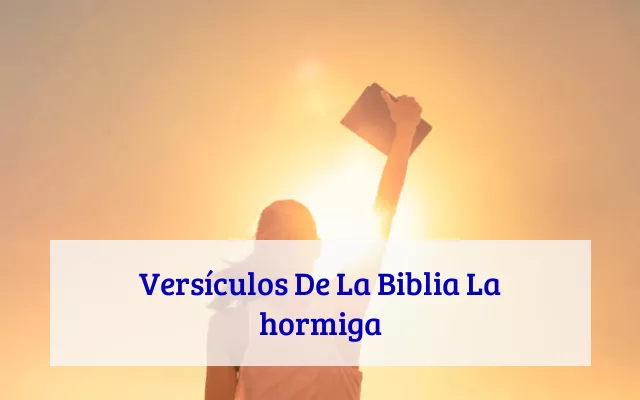 Versículos De La Biblia La hormiga