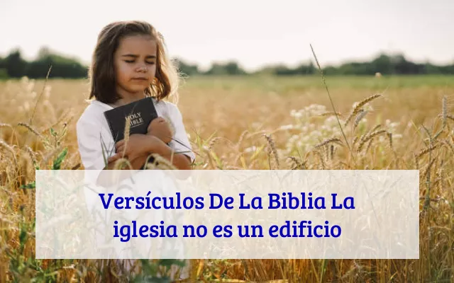 Versículos De La Biblia La iglesia no es un edificio