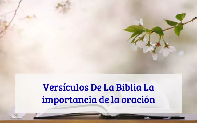 Versículos De La Biblia La importancia de la oración