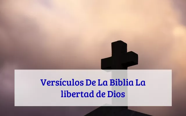Versículos De La Biblia La libertad de Dios