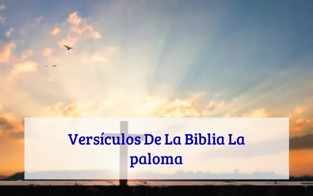 Versículos De La Biblia La paloma