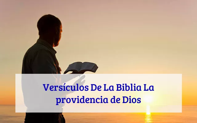 Versículos De La Biblia La providencia de Dios