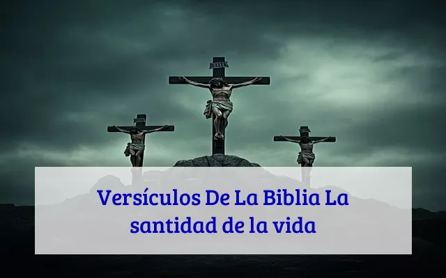 Versículos De La Biblia La santidad de la vida
