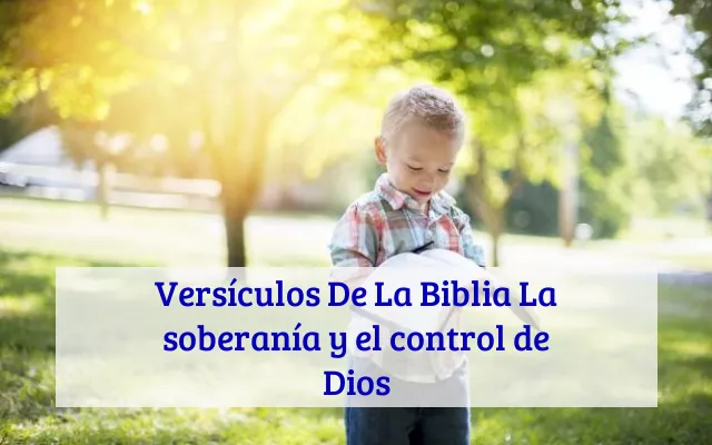 Versículos De La Biblia La soberanía y el control de Dios