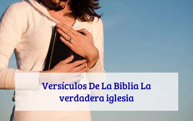 Versículos De La Biblia La verdadera iglesia