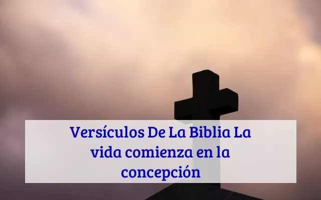 Versículos De La Biblia La vida comienza en la concepción