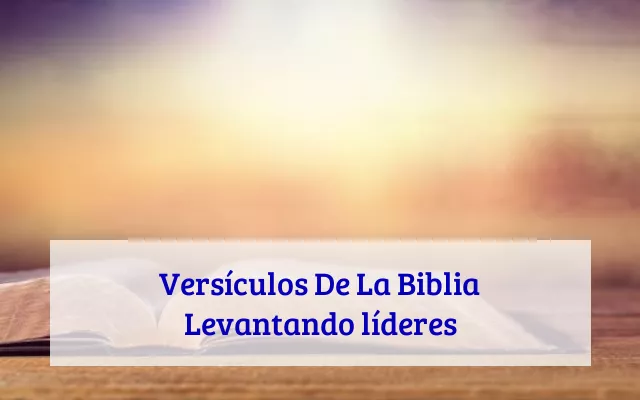 Versículos De La Biblia Levantando líderes