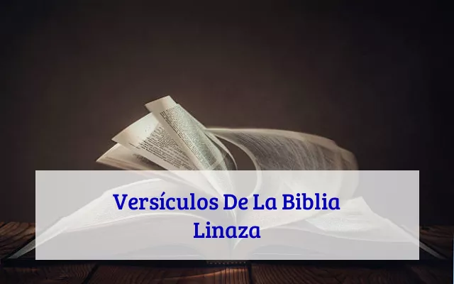 Versículos De La Biblia Linaza