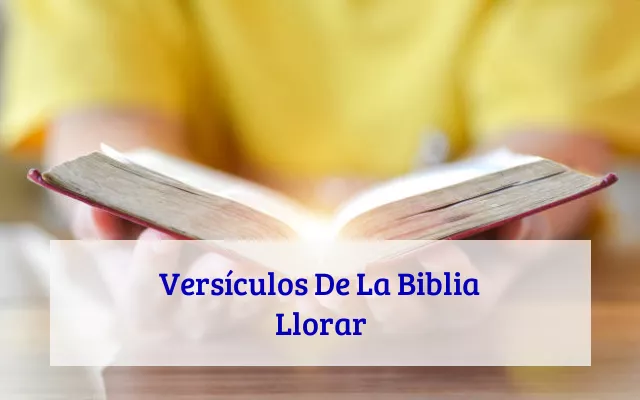 Versículos De La Biblia Llorar