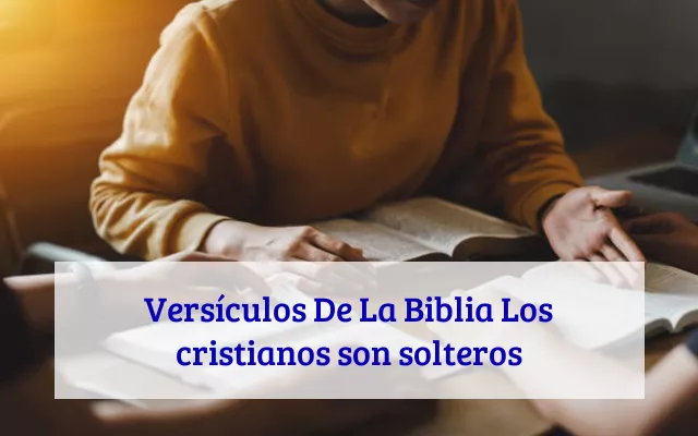 Versículos De La Biblia Los cristianos son solteros