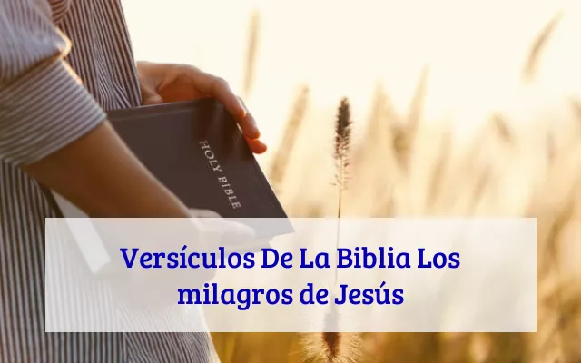Versículos De La Biblia Los milagros de Jesús