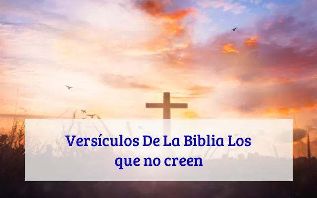 Versículos De La Biblia Los que no creen