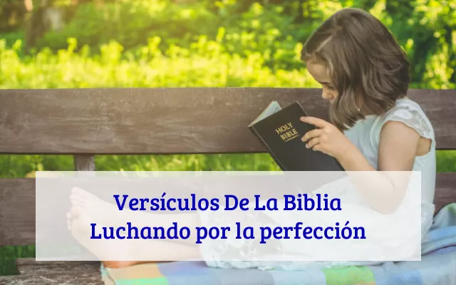 Versículos De La Biblia Luchando por la perfección