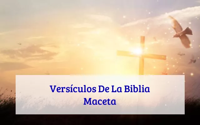 Versículos De La Biblia Maceta
