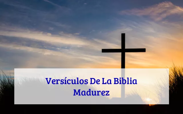 Versículos De La Biblia Madurez