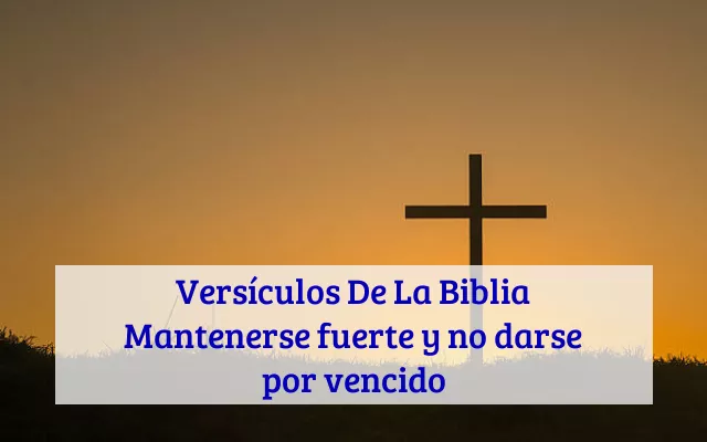 Versículos De La Biblia Mantenerse fuerte y no darse por vencido