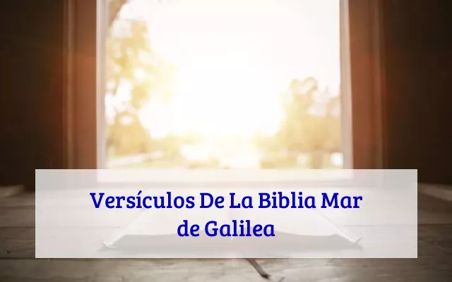 Versículos De La Biblia Mar de Galilea