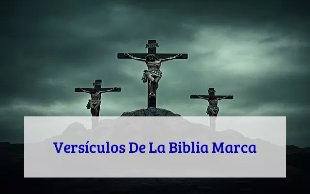 Versículos De La Biblia Marca