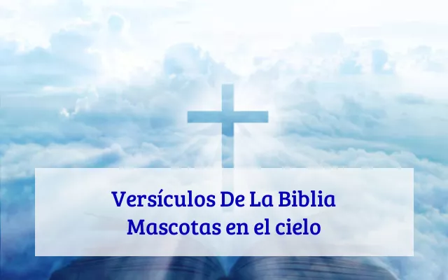 Versículos De La Biblia Mascotas en el cielo