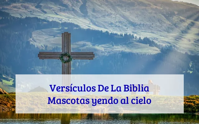Versículos De La Biblia Mascotas yendo al cielo