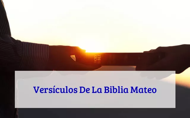 Versículos De La Biblia Mateo