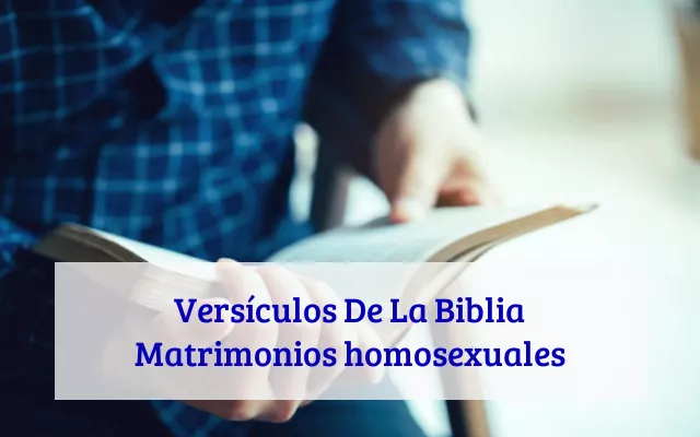 Versículos De La Biblia Matrimonios homosexuales