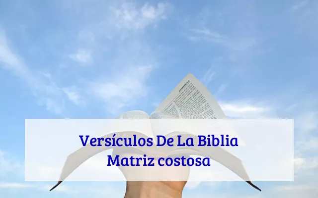 Versículos De La Biblia Matriz costosa