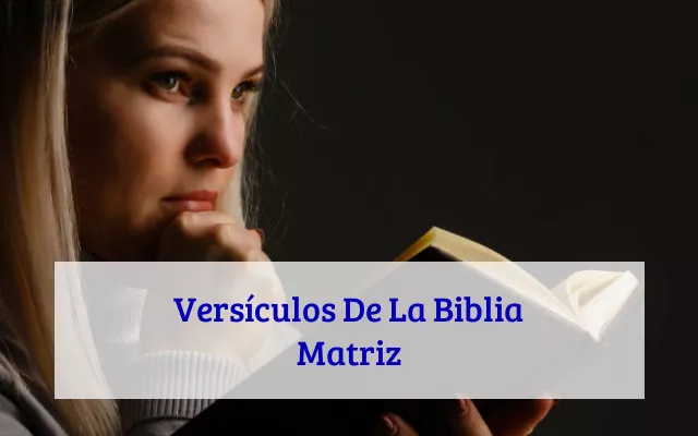 Versículos De La Biblia Matriz