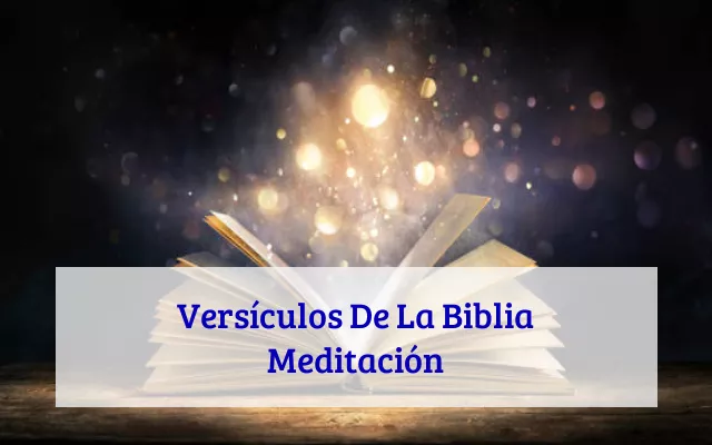 Versículos De La Biblia Meditación