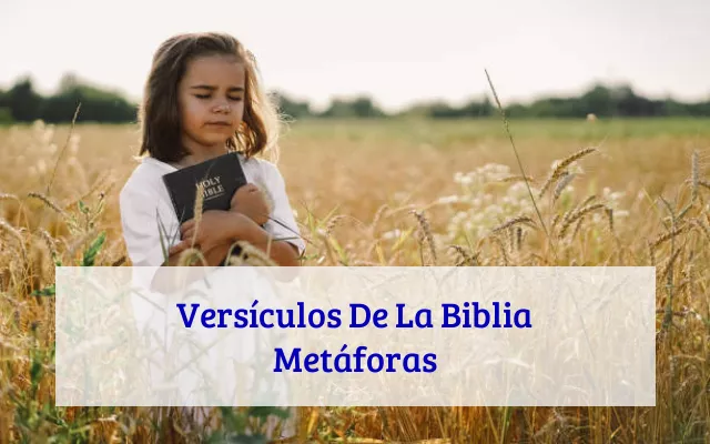 Versículos De La Biblia Metáforas