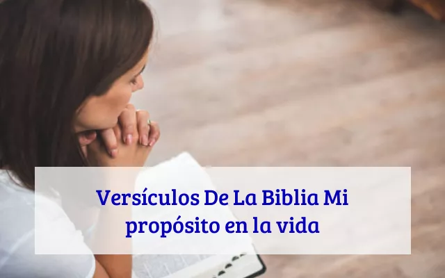Versículos De La Biblia Mi propósito en la vida