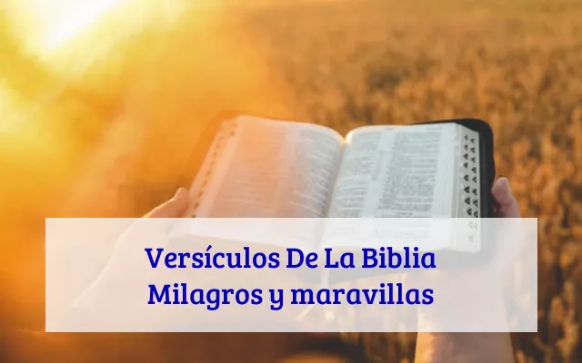 Versículos De La Biblia Milagros y maravillas