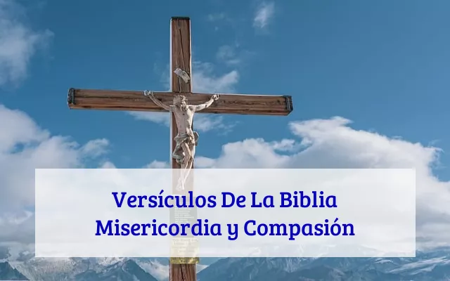 Versículos De La Biblia Misericordia y Compasión