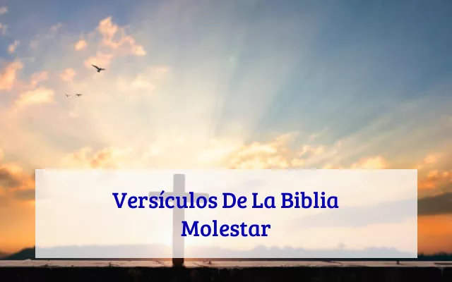 Versículos De La Biblia Molestar