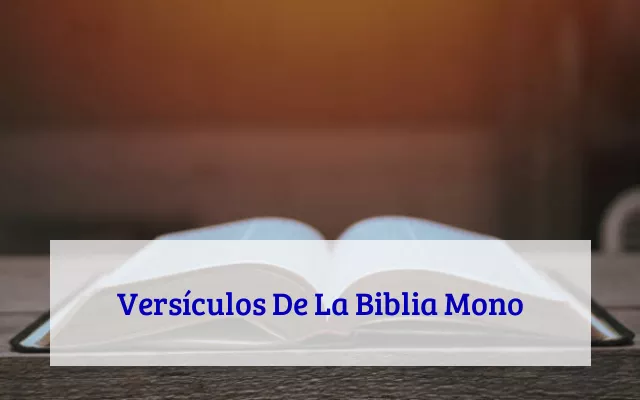 Versículos De La Biblia Mono