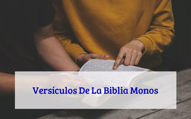 Versículos De La Biblia Monos