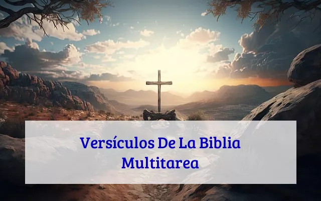 Versículos De La Biblia Multitarea