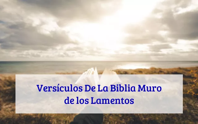 Versículos De La Biblia Muro de los Lamentos