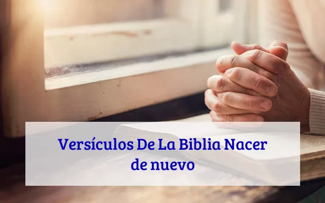Versículos De La Biblia Nacer de nuevo