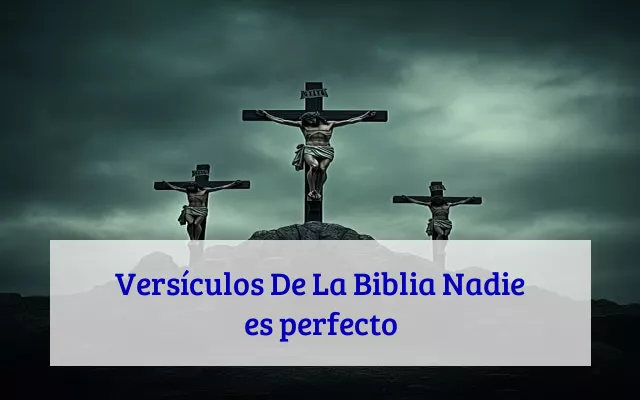 Versículos De La Biblia Nadie es perfecto