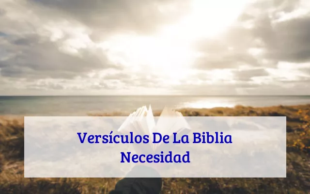 Versículos De La Biblia Necesidad