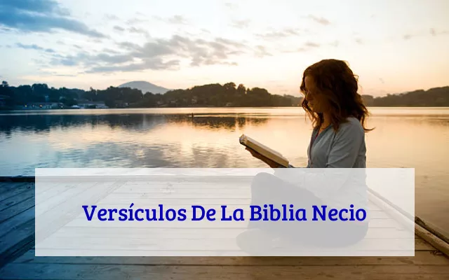 Versículos De La Biblia Necio