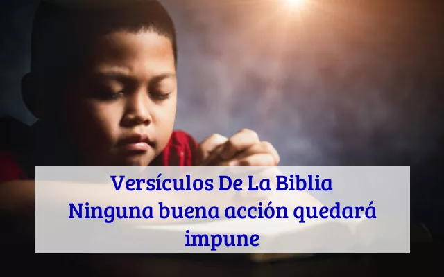 Versículos De La Biblia Ninguna buena acción quedará impune