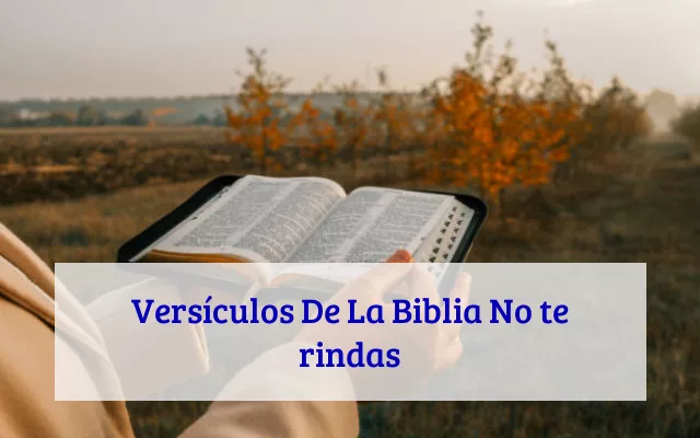 Versículos De La Biblia No te rindas