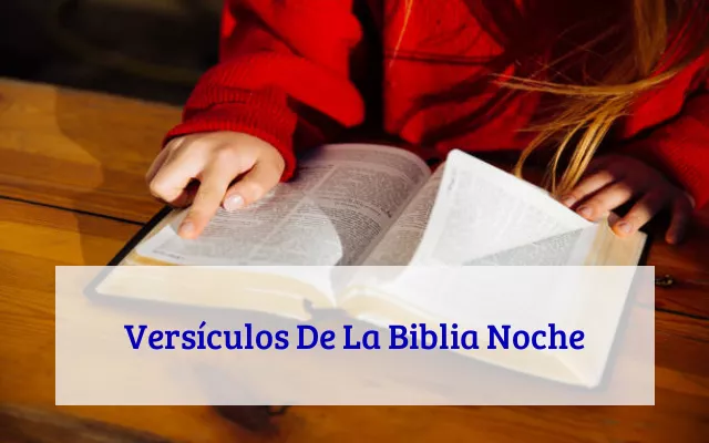 Versículos De La Biblia Noche