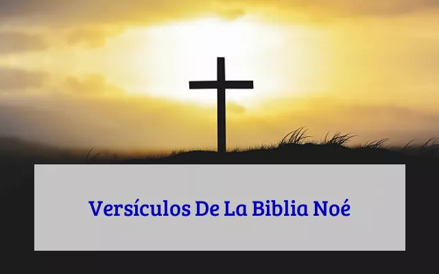Versículos De La Biblia Noé