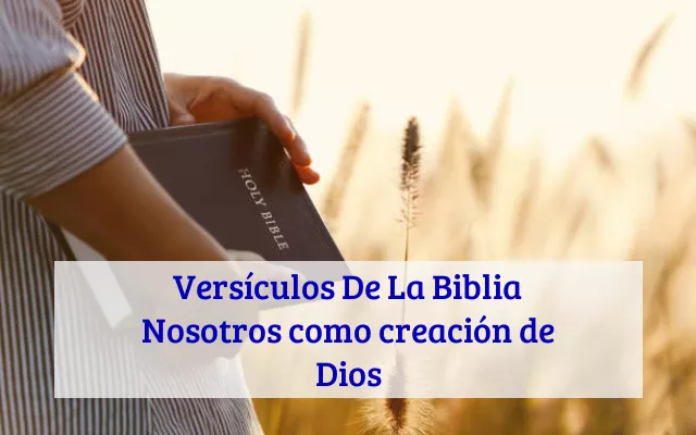 Versículos De La Biblia Nosotros como creación de Dios