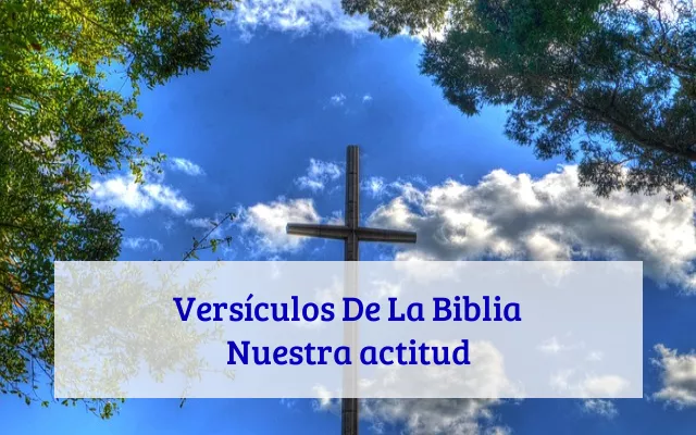 Versículos De La Biblia Nuestra actitud