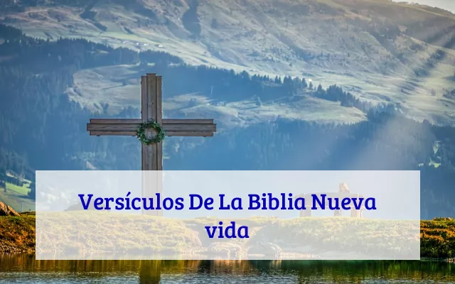 Versículos De La Biblia Nueva vida