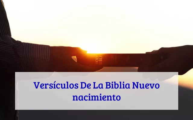Versículos De La Biblia Nuevo nacimiento